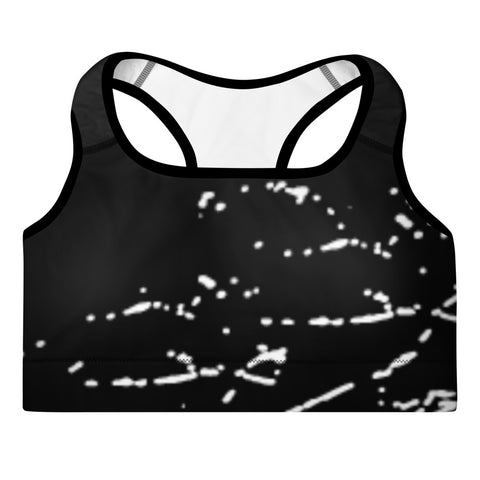 Tesla inspired apparel. Cybertruck. Steel Ball. Broken windows. Shattered image centered on padded sports bra.