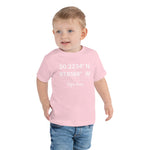 Birthplace Texas Toddler Short Sleeve Tee