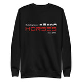 Tesla inspired apparel. Henry Ford and Elon Musk. Comments about horses. Building Faster Horses image centered on pullover sweatshirt.